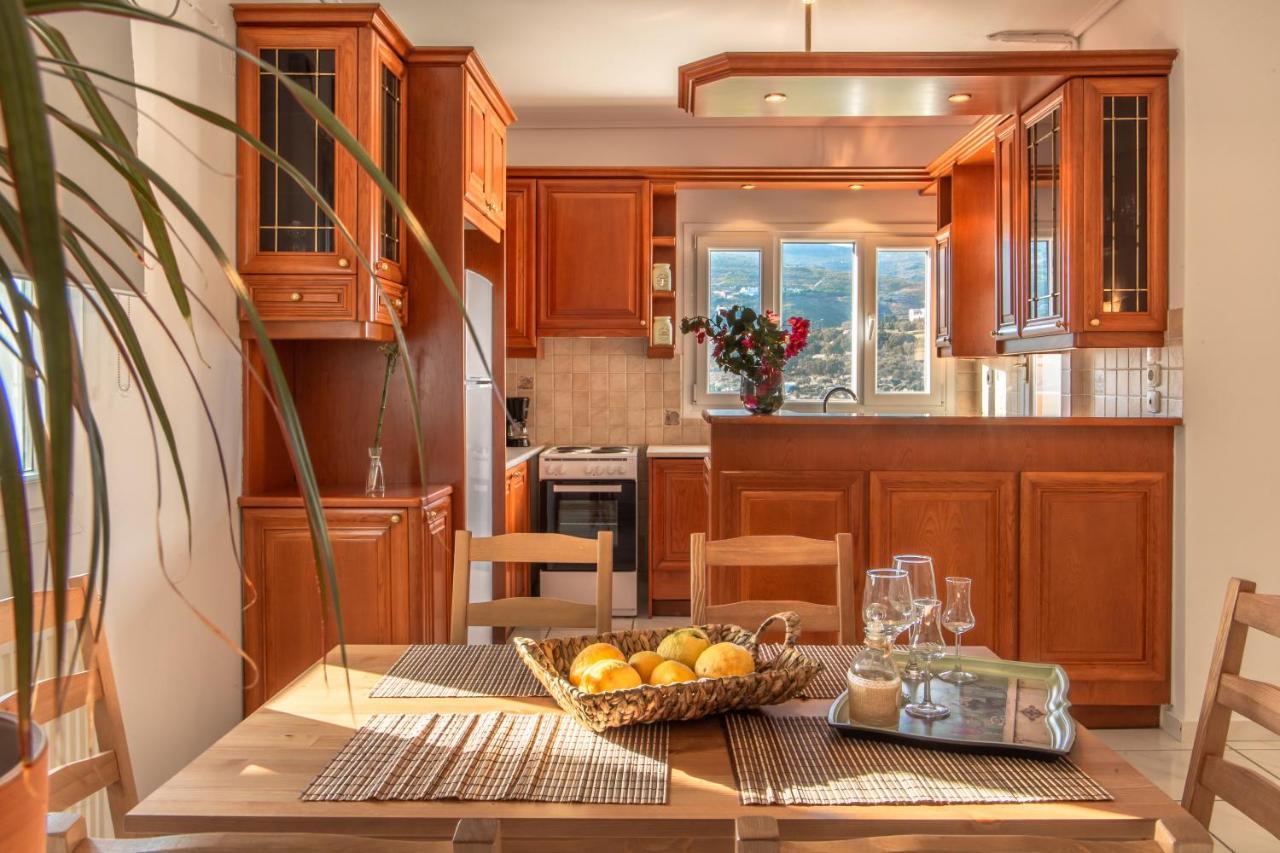 Eleni'S Seaview House Daire Ándros Dış mekan fotoğraf